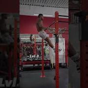 Muscle Up Progressions LVL 1 4