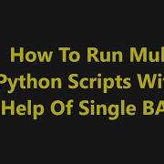 How To Run Multiple Python Scripts With The Help Of Single Batch BAT File