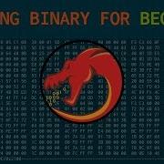Patching Binary With Ghidra BEGINNER GUIDE