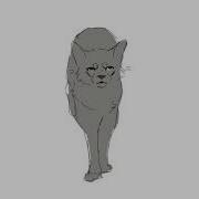 Cat Run Cycle Test