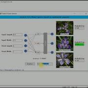Tensorflow Predict Iris Flower Species With Softmax Regression Method