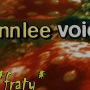 Ann Lee Voices 1999