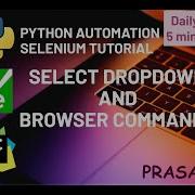 День 13 Выпадающий список выбора и команды браузера Учебное пособие по Python Selenium Python