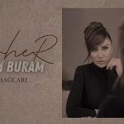 Cevher Gesi Bağları
