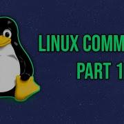 Basic Commands In Linux Part 1 Linux Commands