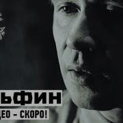 Дельфин Dolphin QT Трейлер