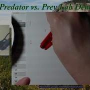 Predator Prey Lab Simulation