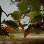 Sultan Shepard The Kite String Tangle Memories Subtitulada En Español