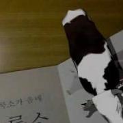 Markerless Visual Tracking For Augmented Books Animal Book