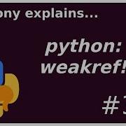 Python What Is Weakref Intermediate Advanced Anthony Explains 366