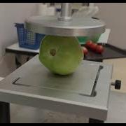Compression Test Of Fruits And Vegetables