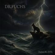 Dr Fuchs Mahalleli Sagopa Kajmer Remix