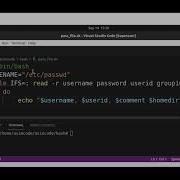 Bash Script To Read File Etc Passwd Line By Line