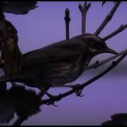 My Mention On Autumnwatch 2011