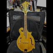 New F 5 Mandolin All North American Woods