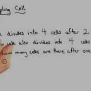 Quadrupling Cell Visualizing Algebra