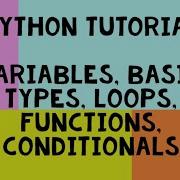 Python Tutorial The Basics Variables Basic Types Loops Conditionals Functions Scope