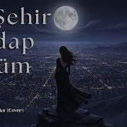 Bu Şehir Girdap Gülüm Anatolian Works Cover