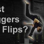 Gym Flips And Wall Tramp Jogzz Review