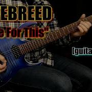 HATEBREED Live For This Guitar Cover