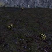 Unity 3d Fantasy World Wildlife Test 01