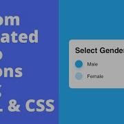 Create Custom Animated Radio Input Button Using HTML CSS