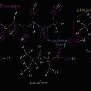 Functional Groups