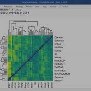 Hierarchical Clustering