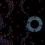Boids Flocking Simulation Demo