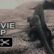 Noah Movie CLIP Creation Sequence 2014 Darren Aronofsky Movie HD