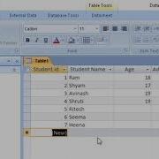 Default Value In Microsoft Access 2007 COMPUTEREXCELSOLUTION