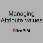 Managing Attribute Values
