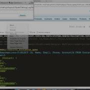 Apex Debugger Basic Usage