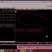 HPing3 Lab With Using Kali Linux Tutorial Step By Step
