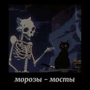 Мосты морозы