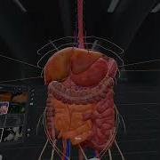 BodyMap Powerful VR Anatomy Learning And Training Platform