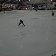 Falcons Nest Live Stream