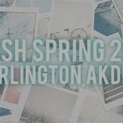 Arlington AKDPhi Rush Spring 2016