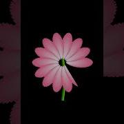 Draw A Beautiful Flower With Python Turtle Turtle Graphics Animation
