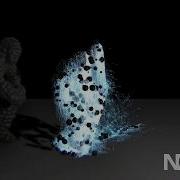 Particle Test With Notch