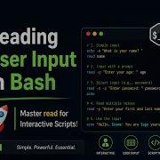 Reading User Input In Bash Master Read For Interactive Scripts