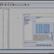 Creating A Case Number Using The Compute Variable Function In SPSS