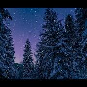 Snow Fall Animation With Particle Js