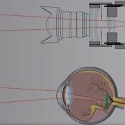 Visual Process Of The Eye