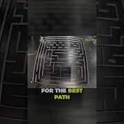 Uncovering The Surprising Strategy Of Micromice In Solving Mazes