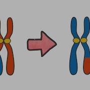 Evolutionary Algorithm For The Travelling Salesperson Problem Genetic Algorithm