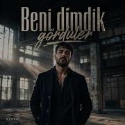 Beni Dimdik Gördüler