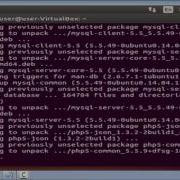 How To Instal LAMP Linux Apache MySQL PHP And Bash Scripting In Ub Untu OS