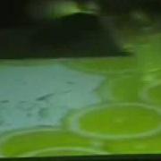 Lusens Com The Power Of Touch Multi Touch Interactive Platforms Video Preview