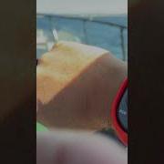 Mercury First Mate Test